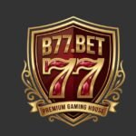 B77 Game Version